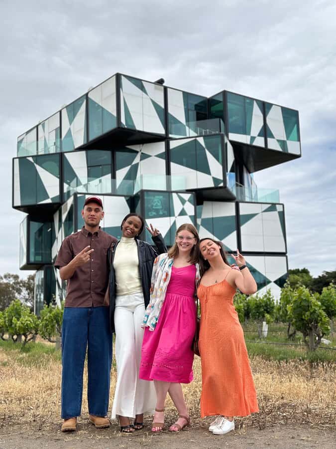 The Ultimate McLaren Vale Experience: Wine, Views & Luxury - What Sets This Tour Apart?