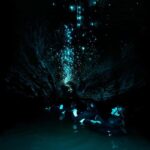 The Waitomo Experience : Okohua Glowworm Cave Tour - The Value of This Experience