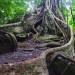 The Wilds: Khao Yai Trekking and Stargazing 2-Day Tour - What Makes This Tour Stand Out?