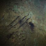 The Wilds: Khao Yai Trekking and Stargazing 2-Day Tour - A Deep Dive into the 2-Day Experience