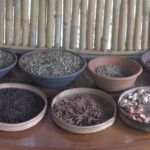 Things to do - Breakfast with Orang Utan - What Is the Experience Really Like?