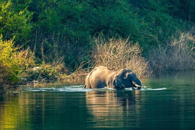 Thrilling Jeep Safari in Jim Corbett National Park with Guide - Pickup and Meeting Points