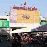 Thu Dau Mot Private Car Tour - Practicalities & Value