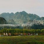 Thung Nham Bird Park, Bich Dong Pagoda, Legendary Caves Tour - The Sum Up