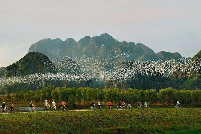 Thung Nham Bird Park, Bich Dong Pagoda, Legendary Caves Tour - The Sum Up