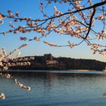 Tiananmen Square, Forbidden City and Cruise to the Summer Palace - Authentic Insights from Previous Travelers