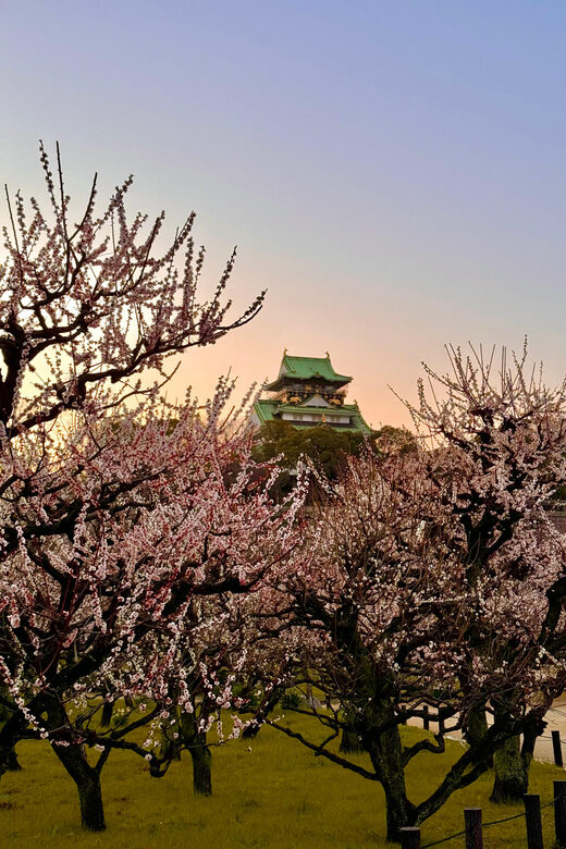 (Ticket Included) Explore Osaka Castle & Museum of History - What to Expect During the Tour