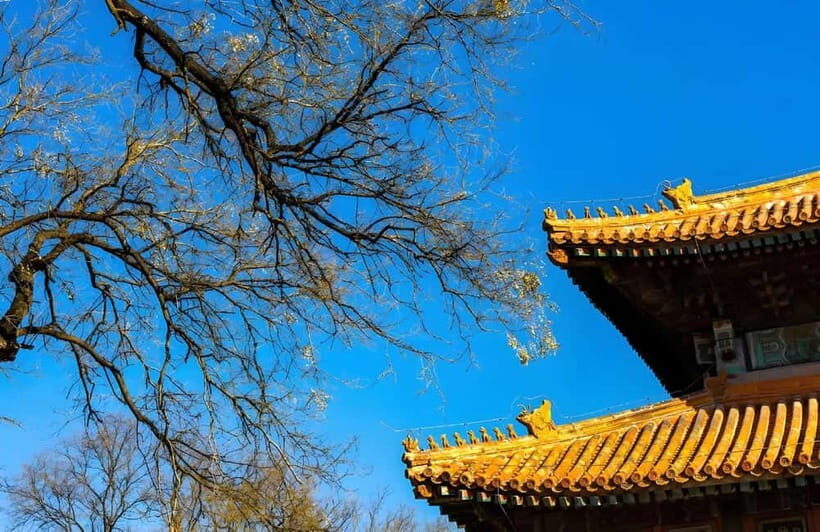 Tickets to all Beijing attractions (Forbidden City optional) - Exploring the Major Attractions