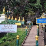 Tiger Cave and Emerald Pool Jungle Tour - Who Will Love This Tour?