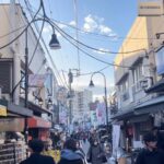 Timeless Tokyo Yanaka: Hidden Flavors & Old Tokyo Spirit - Practical Details and What to Expect