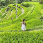 Tirta Empul temple, Jungle Swing and Waterfalls - Private Tour - Sacred Waters: Tirta Empul Temple