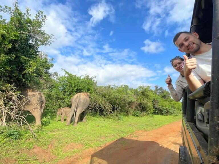 Tissa: Yala National Park Private Jeep Safari with Meals - Why This Tour Stands Out