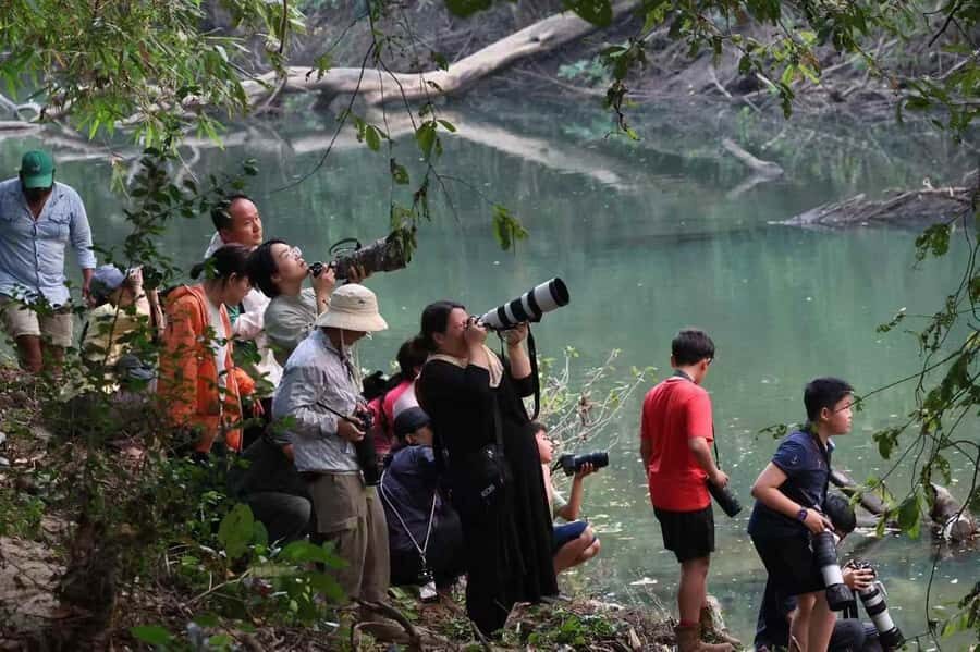 Tissamaharama: Birds Watching Tour - The Experience: What You Can Expect