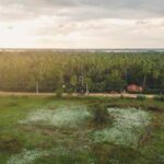 Tissamaharama: Sri Lankan Village Tour with Lunch - What to Expect from the Sri Lankan Village Tour