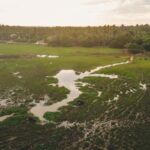 Tissamaharama: Sri Lankan Village Tour with Lunch - What to Expect: A Step-by-Step Breakdown