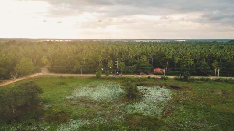 Tissamaharama: Sri Lankan Village Tour with Lunch - What to Expect from the Sri Lankan Village Tour