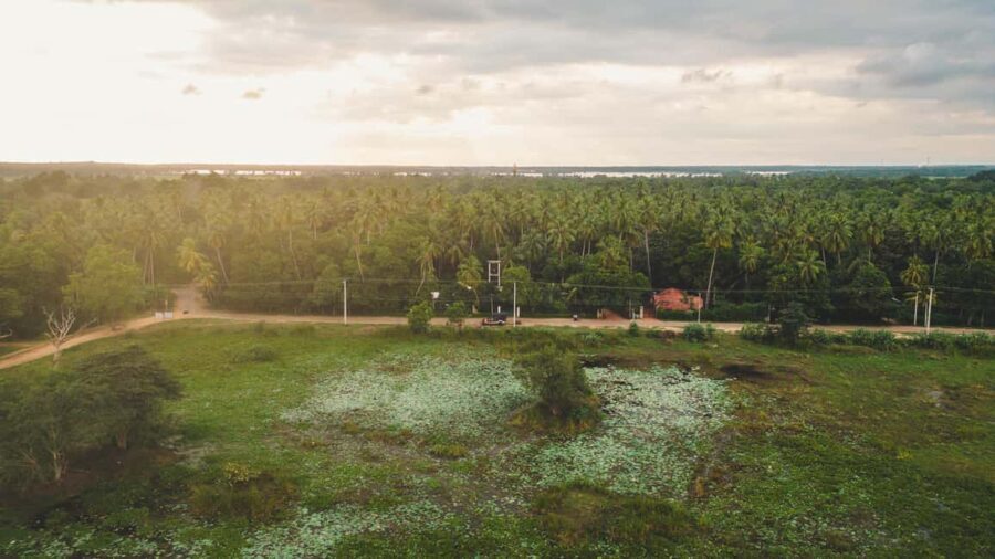 Tissamaharama: Sri Lankan Village Tour with Lunch - What to Expect from the Sri Lankan Village Tour