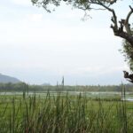 Tissamaharama: Sunset Boat Tour and Lake BBQ - Detailed Breakdown of the Tour