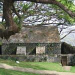 Tobago: Half-Day Highlights Tour - The Real Value in Focus