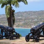 Tobago Island Tour - Authentic Experiences and Practical Details