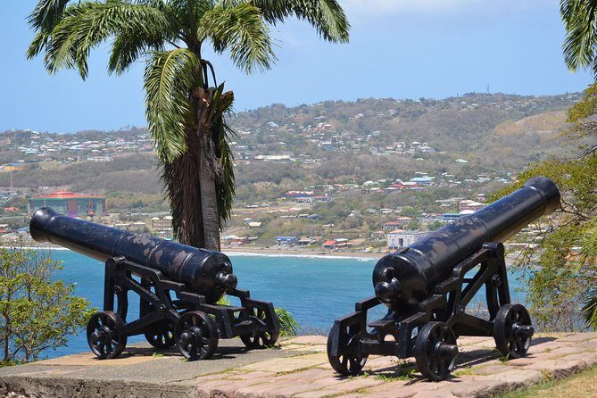 Tobago Island Tour - Authentic Experiences and Practical Details