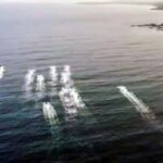 Tobago: Jet Ski Safari to Castara Bay with Local Guide - Who Will Love This Tour?