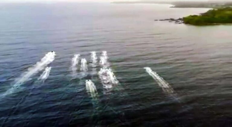 Tobago: Jet Ski Safari to Castara Bay with Local Guide - Who Will Love This Tour?  