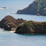 Tobago: Little Tobago Bird Sanctuary Visit and Boat Tour - An in-depth look at the itinerary