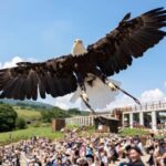 Tochigi: Nasu Animal Kingdom Entry Ticket - Who Should Visit Nasu Animal Kingdom?