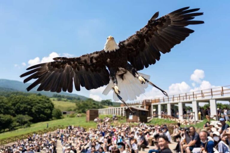 Tochigi: Nasu Animal Kingdom Entry Ticket - Highlights and Unique Features