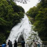 Tochigi: Nikko City, Waterfalls, & Ropeway Tour - What to Expect from This Day Tour