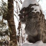 Togakushi Shrine Private Tour with English Local Guide - A Detailed Look at the Togakushi Shrine Private Tour