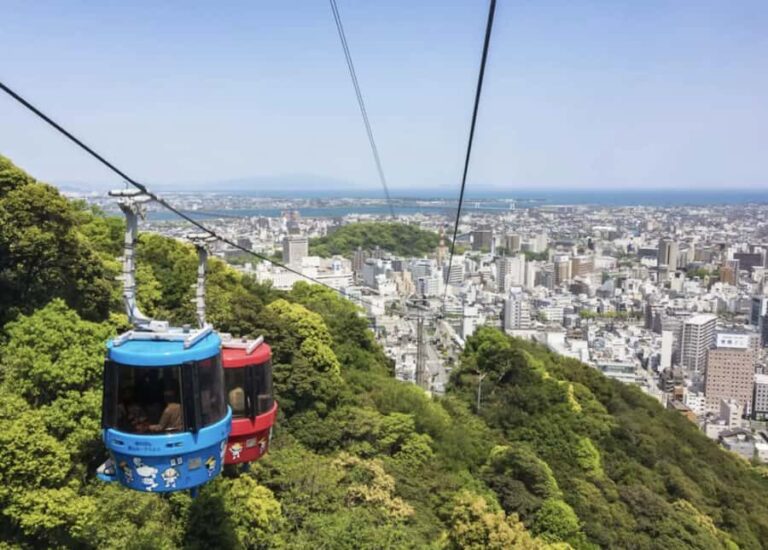 Tokushima Private Custom Tour with Local Guide - Who Will Love This Tour?  
