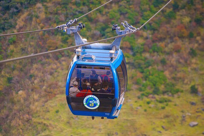 Tokyo 10-Hour Mt. Fuji & Hakone Lake Ashi Cruise & Ropeway Tour - Authentic Insights from Previous Travelers