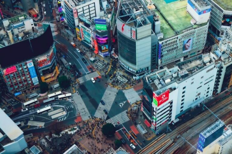 Tokyo: 2-Day Private Tour Tokyo City & Mt. Fuji or Hakone. - Final Thoughts