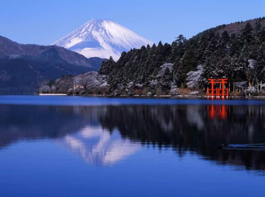 Tokyo | 2-Day Shizuoka Surfing + Hakone Hot Springs Tour - Why This Tour Offers Great Value