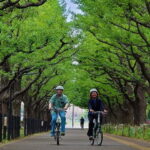 Tokyo: 3h Private E-bike Tours, Starting at Your Hotel - What’s Included & What to Keep in Mind