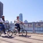 Tokyo: 3h Private E-bike Tours, Starting at Your Hotel - In-Depth: What to Expect from the Tour