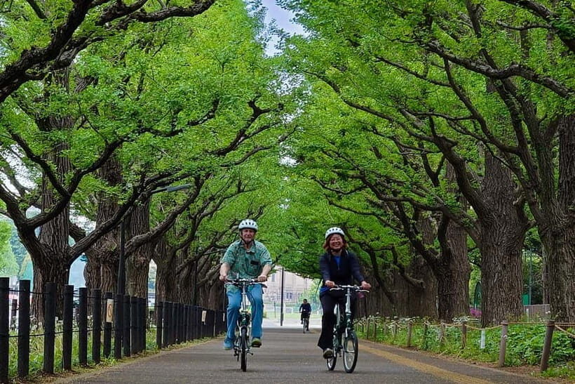 Tokyo: 3h Private E-bike Tours, Starting at Your Hotel - What’s Included & What to Keep in Mind