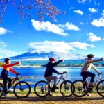 Tokyo A day trip to Tokyo by bicycle - What Makes This Tour Stand Out?