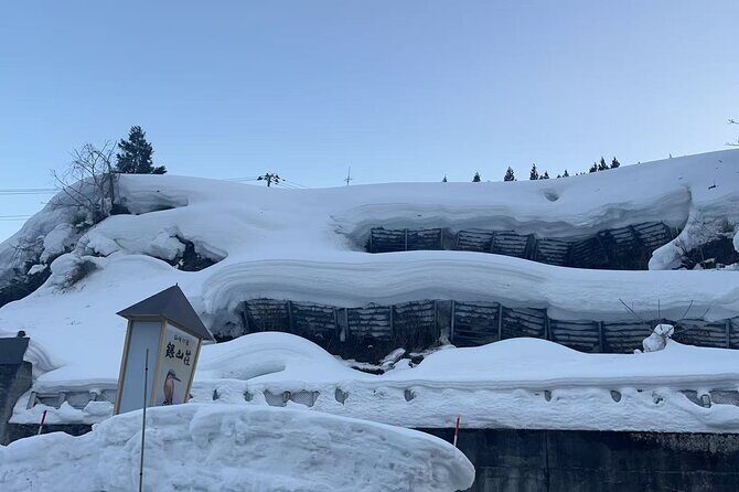 Tokyo Airport Nagano Transfer - Who Should Consider This Transfer?