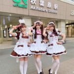 Tokyo: Akihabara Anime, Manga, and Games Walking Tour - Practical Details: What to Expect and How to Prepare