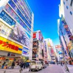 Tokyo Akihabara Anime walking tour & Maid Cafe option - The Price and Value
