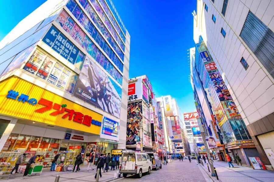 Tokyo Akihabara Anime walking tour & Maid Cafe option - The Price and Value
