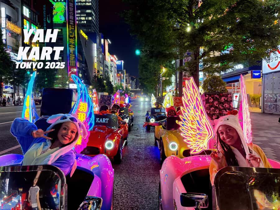 Tokyo: Akihabara Go-Karting Experience (including guide) - What Makes This Experience Special