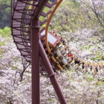 Tokyo: Amusement Park Yomiuri Land Entry Ticket - Ticket Pricing and Value