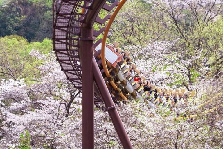 Tokyo: Amusement Park Yomiuri Land Entry Ticket - Ticket Pricing and Value