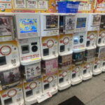 Tokyo Anime and Game Shopping Tour in Ikebukuro - What to Expect During the Tour