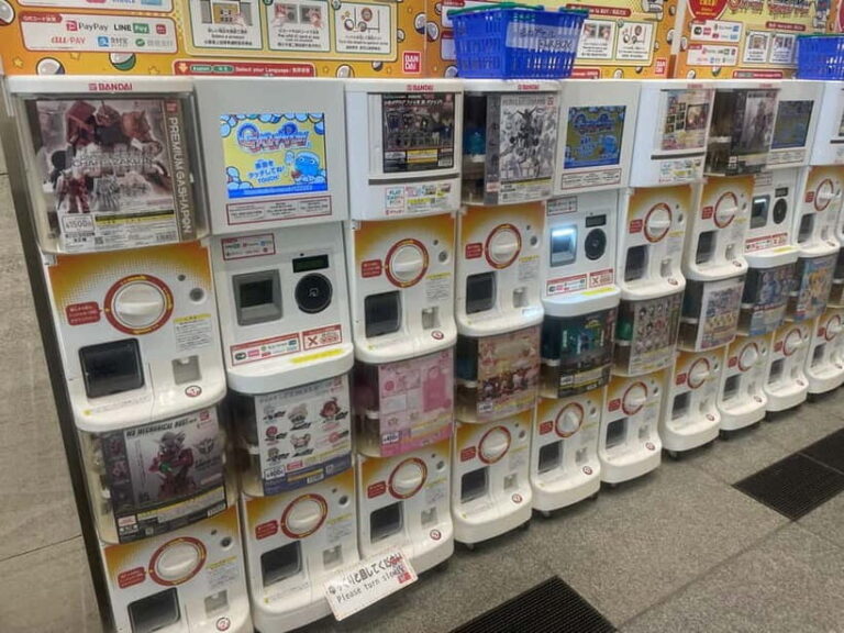 Tokyo Anime and Game Shopping Tour in Ikebukuro - What to Expect During the Tour