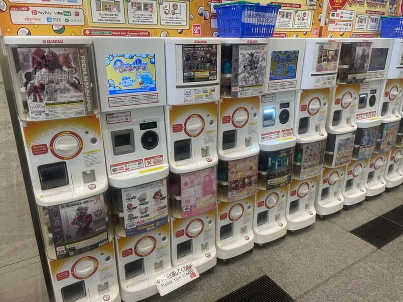 Tokyo Anime and Game Shopping Tour in Ikebukuro - What to Expect During the Tour